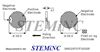 Picture of Piezo Ceramic Disc 28x0.7mm R 3 Mhz