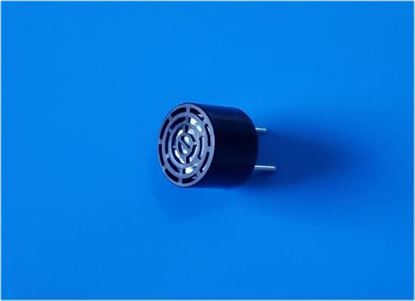 Picture of Ultrasonic Directive Speaker 40 KHz 10mm